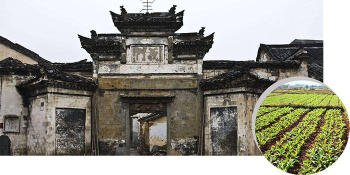 爱体育平台_爱体育(中国)
